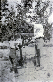 Photograph, Fred and Robert Collier