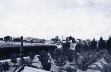Photograph, Tunstall