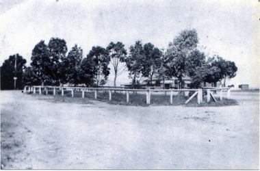 Photograph, Plantation - Whitehorse Road Mitcham