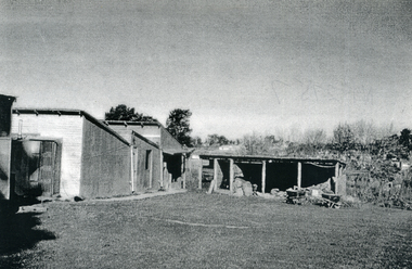 Photograph, Eckermann's Poultry Farm, c1960