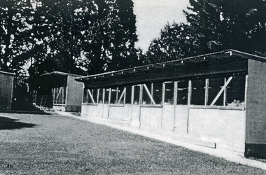 Photograph, Eckermann's Poultry Farm, c1960