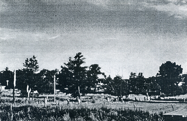 Photograph, Eckermann's Poultry Farm, c1960