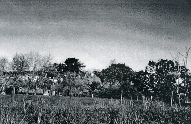 Photograph, Eckermann's Poultry Farm, c1960