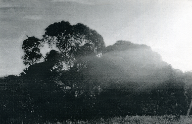 Photograph, View from Mr. Boyle's orchard, c1960