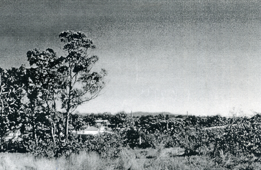 Photograph, Looking to the Mountains, c1960
