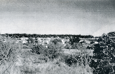 Photograph, Houses in the big Orchard, c1960