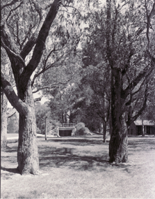 Photograph, Cellar - Schwerkolt Cottage
