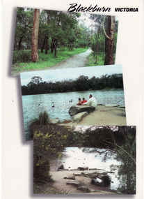 Postcard, Postcard - Blackburn Lake