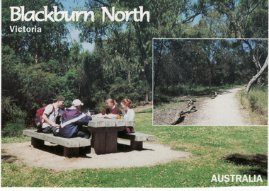 Postcard, Postcard - Cootamundra Walk