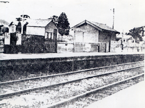 Black & White photograph of Tunstall Railway Station (Nunawading Station) c1918. Shows platform Station Office and possibly the parcel office.