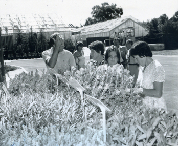 Photograph, Opening of Horticultural Centre, 14/03/1982 12:00:00 AM