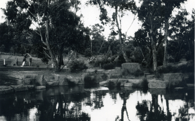 Photograph, Bellbird Dell - Views of Ponds 1, 1/10/1985 12:00:00 AM
