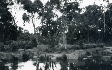 Photograph, Bellbird Dell - View of Ponds, 1/10/1985 12:00:00 AM