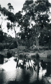 Photograph, Bellbird Dell - View of Ponds, 1/10/1985 12:00:00 AM