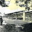 Black and white photograph of e Nunawading Memorial  Swimming Pool