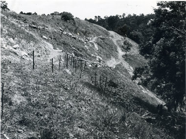 Photograph, Yarran Dheran - quarry, 1972