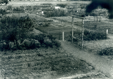 Nunawading Community Garden in Jolimont Road, Forest Hill established in October 1977.