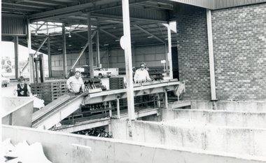 The bottle and glass recycling section of the Waste Transfer Station on Burwood Highway, South Vermont. The Station was opened in 1978