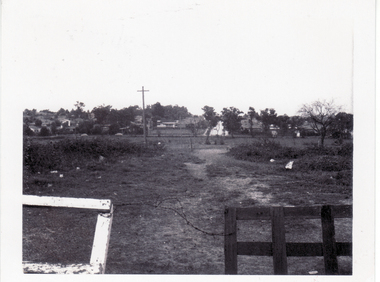 Photograph, Horse and Pony Club