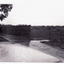 A set of 8 black and white photographs of Council Property south of Orchard Grove, Blackburn South 