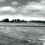 View South from Vicki Street in 1972 of Mahoney's Reserve, Forest Hill