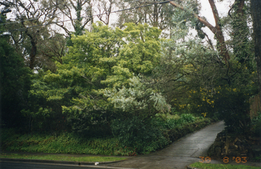 View  in 2003 of No. 32-34 Burnett Street before development of two, 2-storey town houses. No. 1 in a series of three