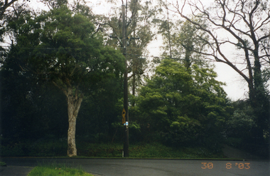 Photograph, No. 32-34 Burnett Street, Mitcham