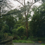 View in 2003 of No32-34 Burnett Street, Mitcham before development of two 2-storey townhouses. iew 2003 of No32-34 Burnett Street, Mitcham before development of two 2-storey townhouses. 