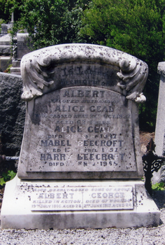  Tombstone on grave 1390, Church of England section, Box Hill Cemetery