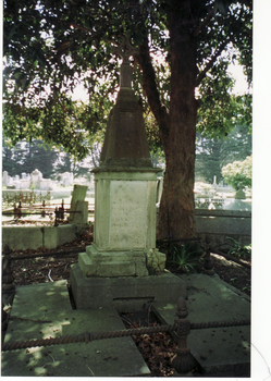 Slater family tombstone at Box Hill Cemetery.