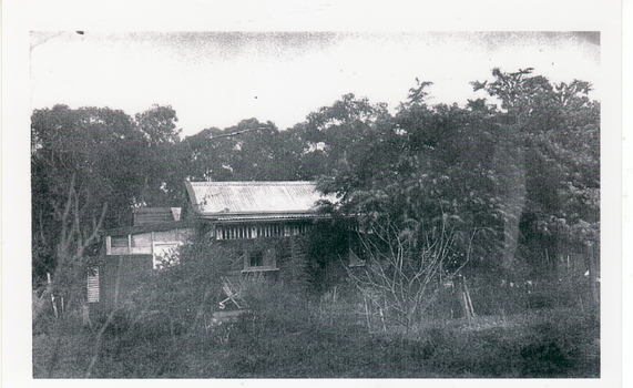 Northern side of the miner's cottage in Halley Street, Blackburn View before 1923