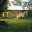 The wisteria in bloom after pruning in 2003