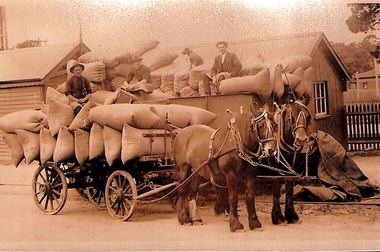 Sepia photograph of a horse drawn dray filled with feed bags, in front of the Blackburn Station. 