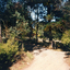 Casella Street, Mitcham, taken in 1993 before the area was subdivided for housing.