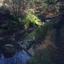 Mullum Mullum Creek, Mitcham in 1997.