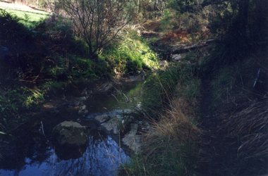 Mullum Mullum Creek, Mitcham in 1997.