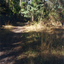 Mullum Mullum Creek, Mitcham in 1997