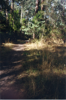 Mullum Mullum Creek, Mitcham in 1997