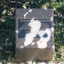 Memorial stone in the Vermont South Primary School avenue of honour.