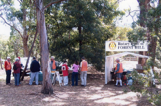 various activities at the Whitehorse Historical Society Heritage Day in 2004