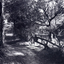 rural Mitcham c1950