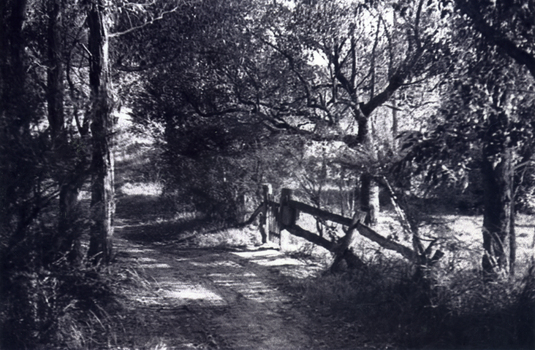rural Mitcham c1950