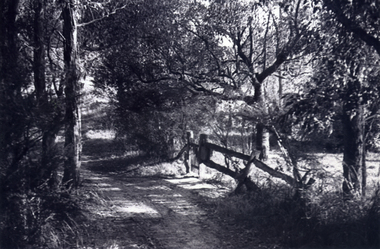 rural Mitcham c1950