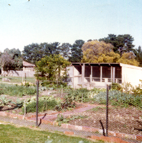 Vegetable garden at the Forest Hill Residential Kindergarten. c1960.
