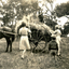 People stacking hay on a cart at the Forest Hill Residential Kindergarten.