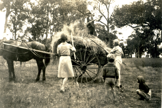 People stacking hay on a cart at the Forest Hill Residential Kindergarten.