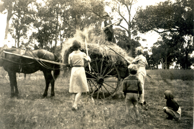 People stacking hay on a cart at the Forest Hill Residential Kindergarten.
