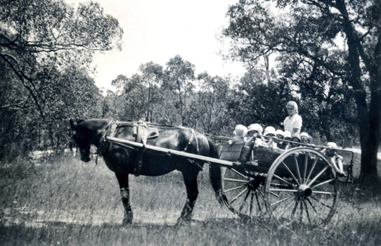 Horse & dray carrying one women and eight children at the Forest Hill Residential Kindergarten.