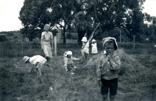 Children from Collingwood helping with the hay gathering. 