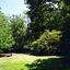 Old Strathdon orchard, house, and surrounds in Springvale Road, Forest Hill in 2008.